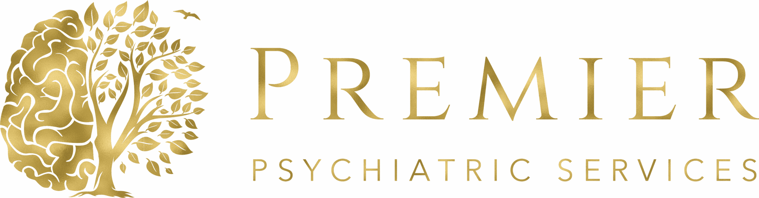 Premier Psychiatric Services – Goodlettsville, TN